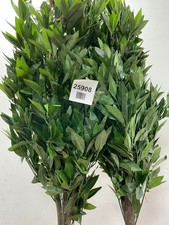 Leaf pair 120cm for sale  MANCHESTER