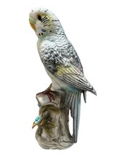 Large parakeet teal for sale  Milford
