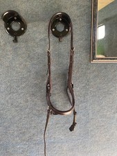 Brown cob small for sale  HOLSWORTHY