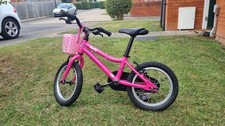 Ridegback honey kids for sale  IPSWICH
