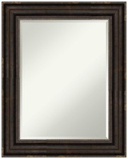 Bronze wall mirror for sale  Brentwood