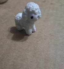 White lamb precious for sale  Gouldsboro