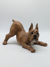 Playful boxer dog for sale  Casa Grande
