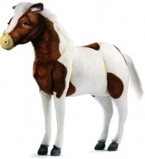 Shetland pony kuroshiro usato  Spedire a Italy