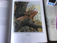 Countr life birds for sale  EXETER