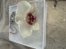 Real white orchid for sale  Cape Coral