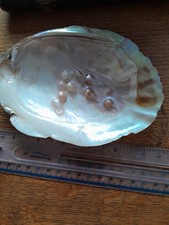 Vintage mother pearl for sale  OSSETT