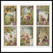 1900 set figurine usato  Italia