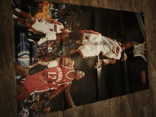Dennis rodman sammer gebraucht kaufen  Duisburg
