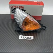 Blinker licht yamaha gebraucht kaufen  Nürnberg