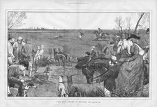 Hare coursing scene for sale  GLASGOW
