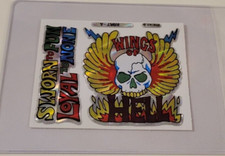 Wings hell motorcycle for sale  Northumberland