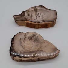 Vintage petrified wood for sale  SOUTHEND-ON-SEA