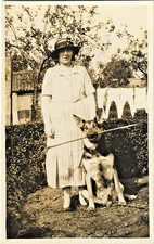 Vintage 1920s dog for sale  Philadelphia