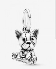 cuccioli bulldog usato cuccioli bulldog usato Roma