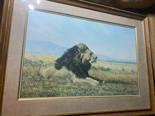 Large simon combs for sale  Langhorne