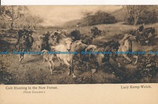 R025396 colt hunting for sale  PURLEY