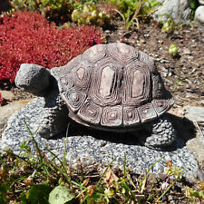 4162 schöne schildkröte gebraucht kaufen  Röttenbach