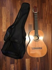 Eko chitarra costruita usato  Monza