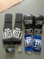 Attrezzatura boxe leone usato  Sarnico
