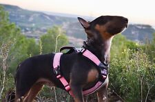 Harnais chien anti d'occasion  Saint-Cannat