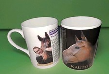 Kauto star tony for sale  DARLINGTON