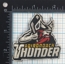 2015 adirondack thunder for sale  Albany