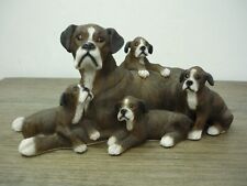 Boxer dog puppies for sale  BRENTWOOD