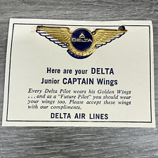 Vtg delta air for sale  Davenport