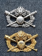 Gendarmerie brevet pilote d'occasion  Chartres