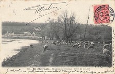 Nivernais moutons paturage d'occasion  Vasles