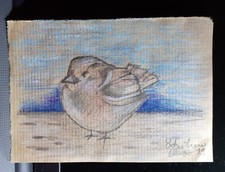 Disegno passerotto uccellino usato  Scafati