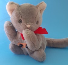 Rare tandy kitten for sale  EXETER