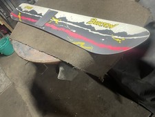 Vintage burton cruise for sale  Ionia
