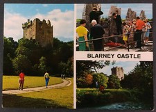 Ireland blarney castle for sale  Austin