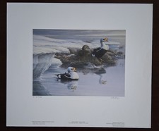 wildlife art for sale wildlife art for sale Haw River