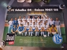 Schalke mannschaftsposter 4x42 gebraucht kaufen  Bad Sassendorf