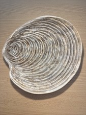 Assiette coquille guillot d'occasion  Andernos-les-Bains