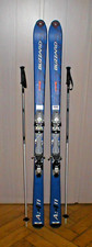 Ski blizzard center gebraucht kaufen  Welzheim