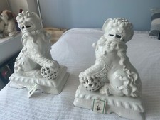 amazing dogs for sale  Chicago