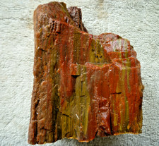Arizona rainbow petrified for sale  Grover Beach