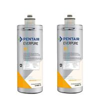 Filtro everpure ev9601 usato  Palermo