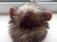 Lovely creative dog for sale  SWINDON