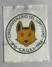 Scout cinquantenario del usato  Sirmione