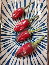 Vampire pepper chili d'occasion  Expédié en France