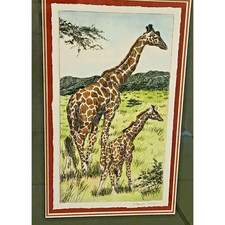 Picture nancy strailey for sale  Fort Mc Coy