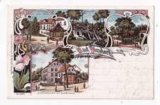 Litho 1905 gruss gebraucht kaufen  Berlin
