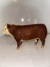polled hereford cow for sale polled hereford cow for sale Omaha