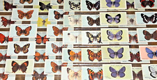 Vintage british butterflies for sale  BOLTON