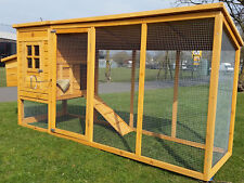 Large chicken hen for sale  UK